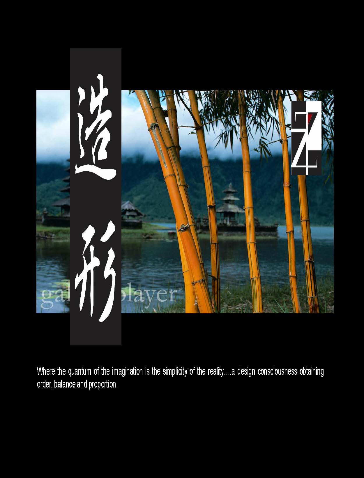 Project image